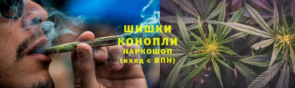 гидра Алексеевка