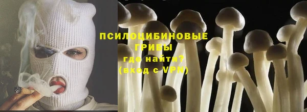 гидра Алексеевка