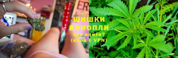 гидра Алексеевка