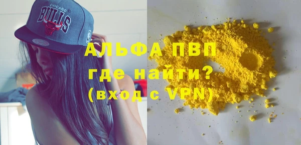 спиды Ельня