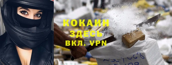 ПСИЛОЦИБИНОВЫЕ ГРИБЫ Горно-Алтайск
