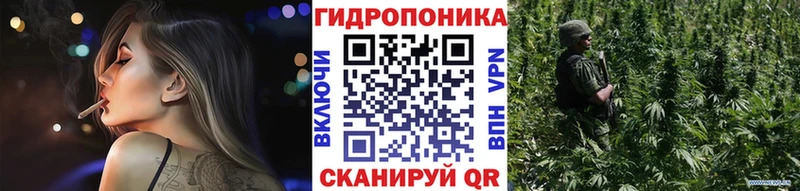 купить   Лагань  Каннабис OG Kush 